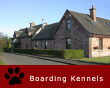 Boarding Kennels Blantyre, Glasgow